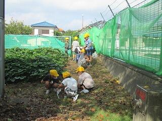 全校除草です。